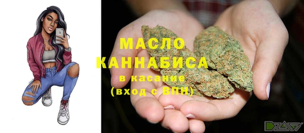 гашик Алексеевка