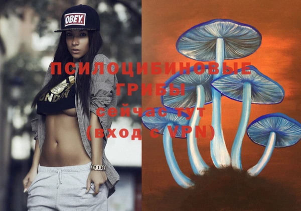 бошки Алексин