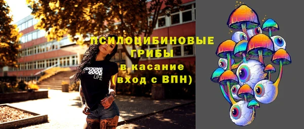 гашик Алексеевка